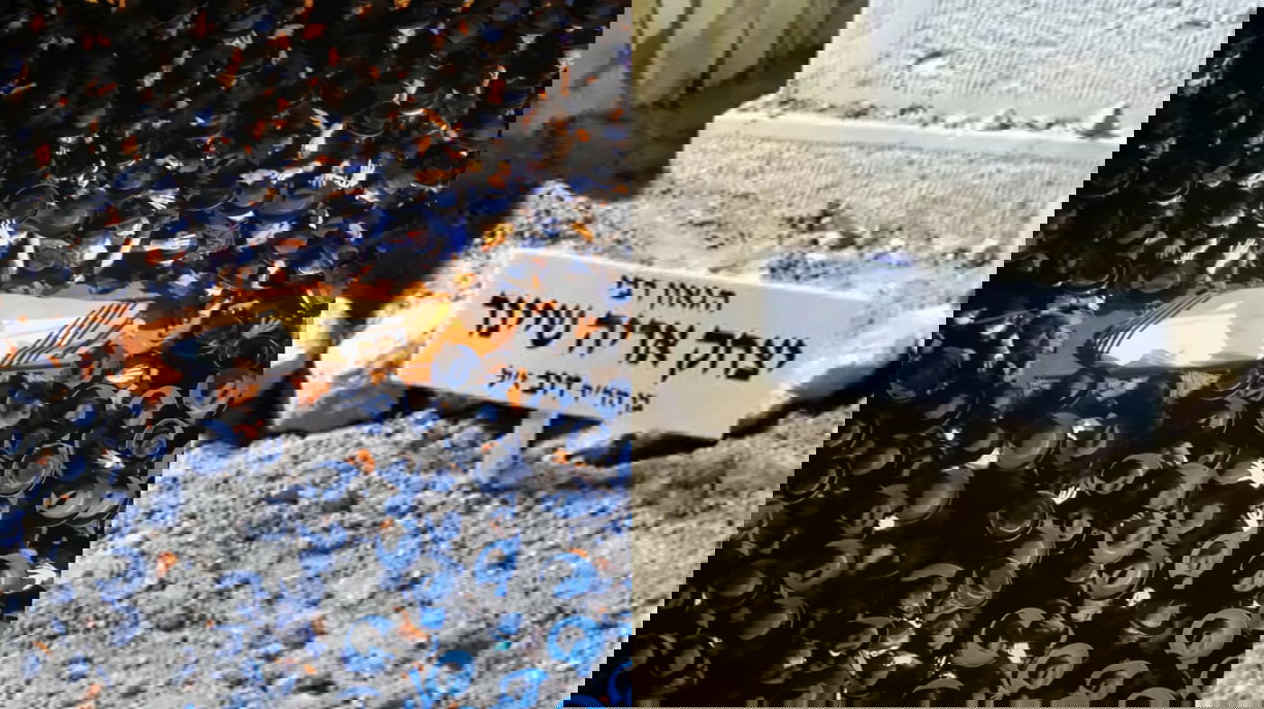 מסע לווית הרב שיינר זצוק"ל