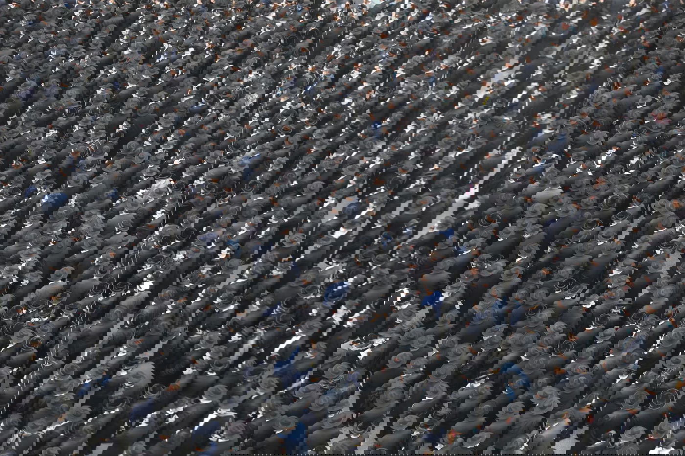 רבבות בלווית ראש ישיבת בריסק הגרמ"ד סולובייצ'יק זצ"ל