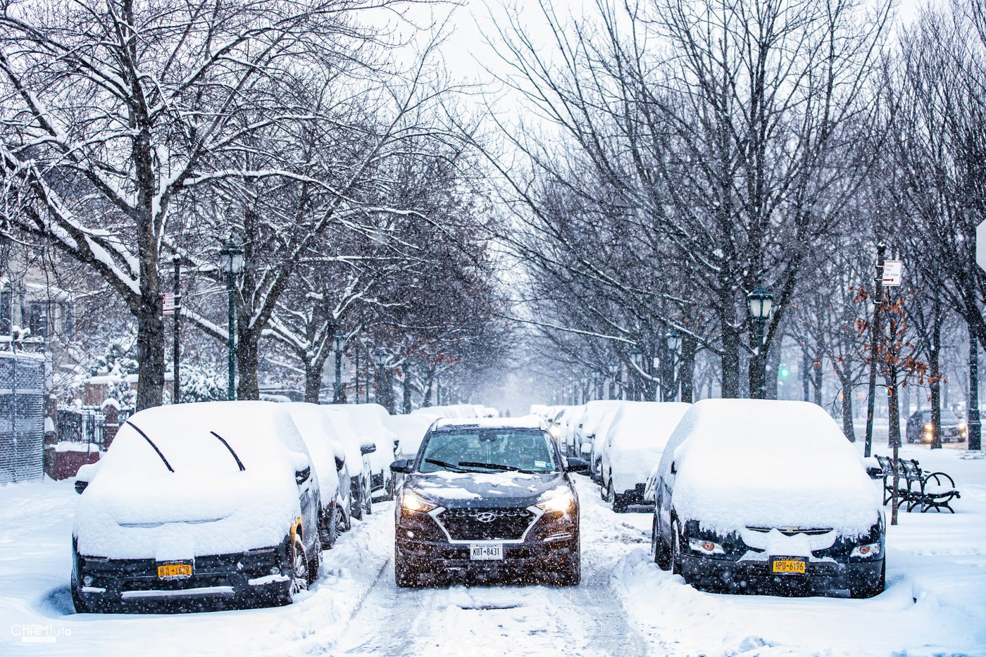 סופת שלגים קיצונית ב'קראון הייטס' • תיעוד