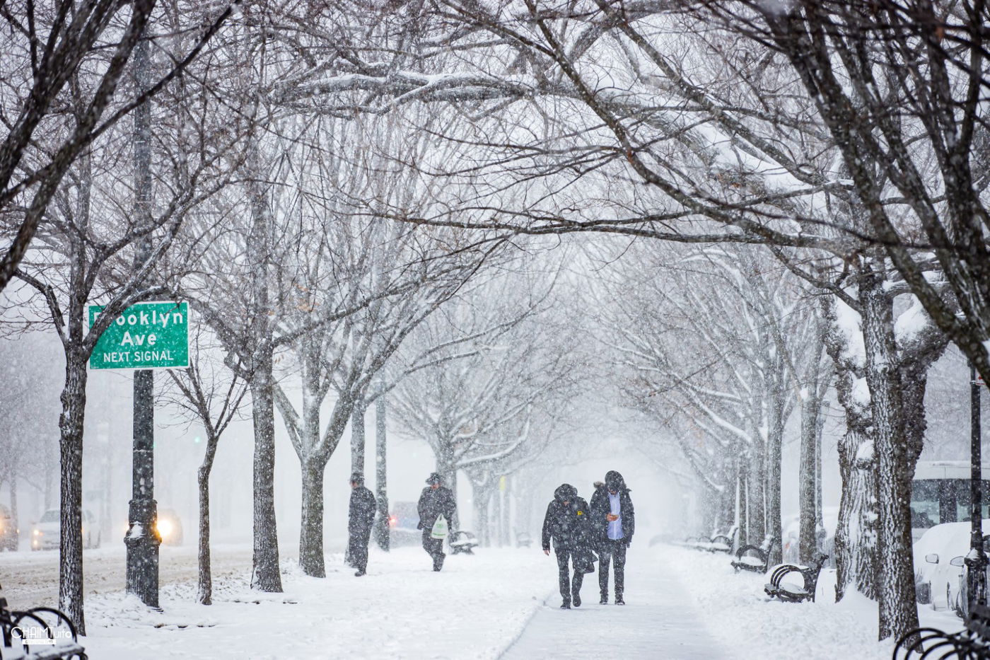 סופת שלגים קיצונית ב'קראון הייטס' • תיעוד