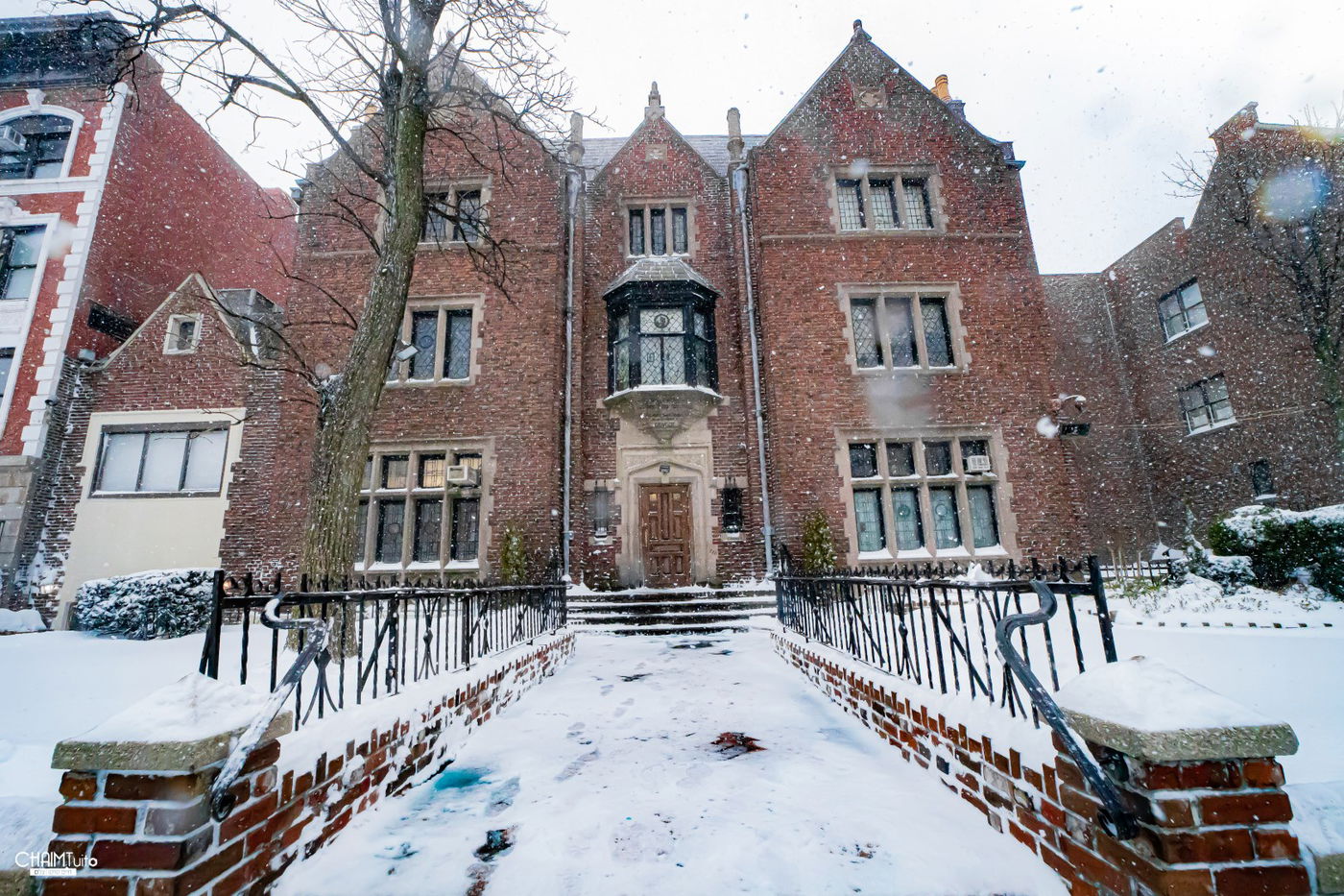 סופת שלגים קיצונית ב'קראון הייטס' • תיעוד