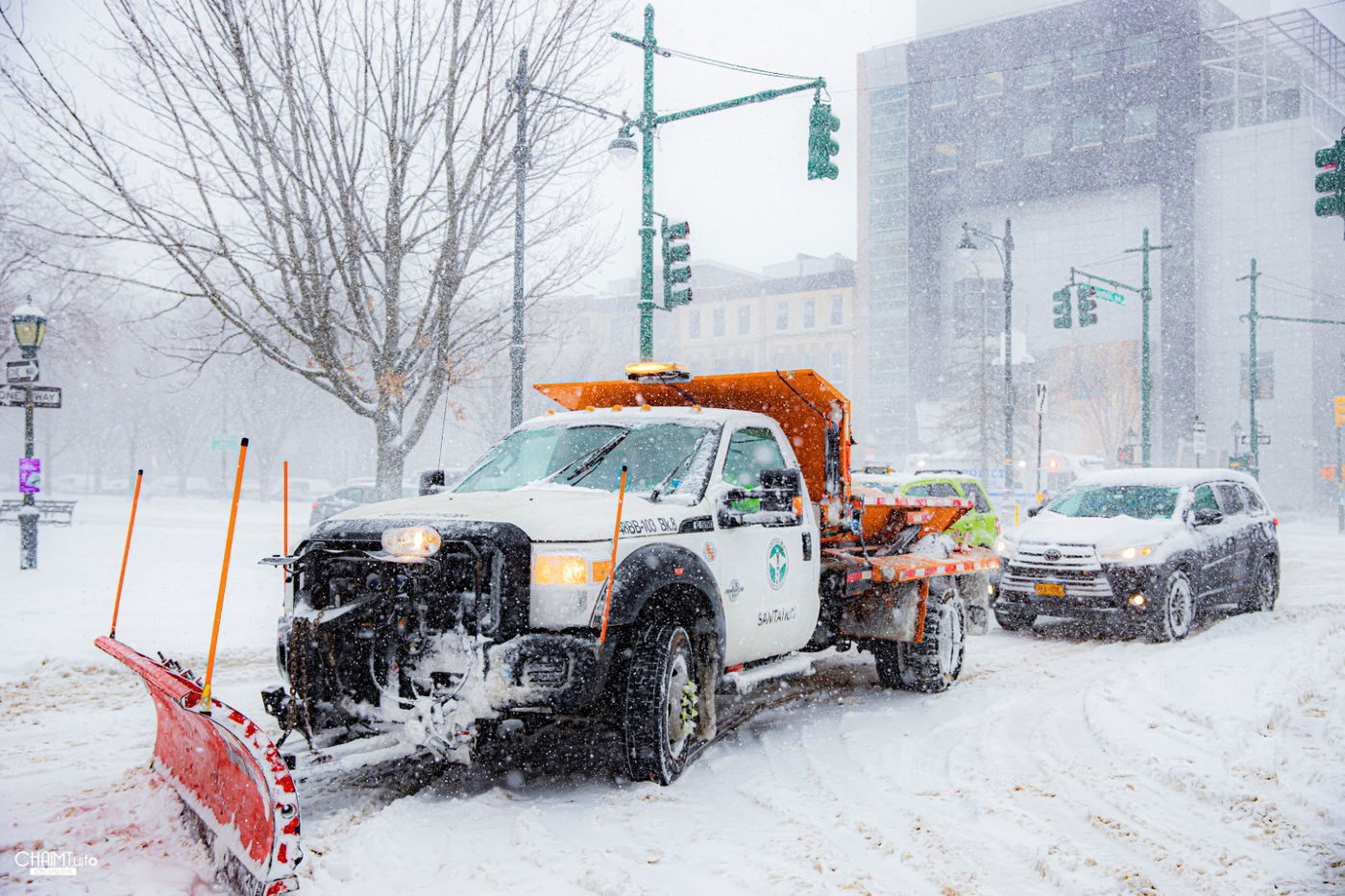 סופת שלגים קיצונית ב'קראון הייטס' • תיעוד