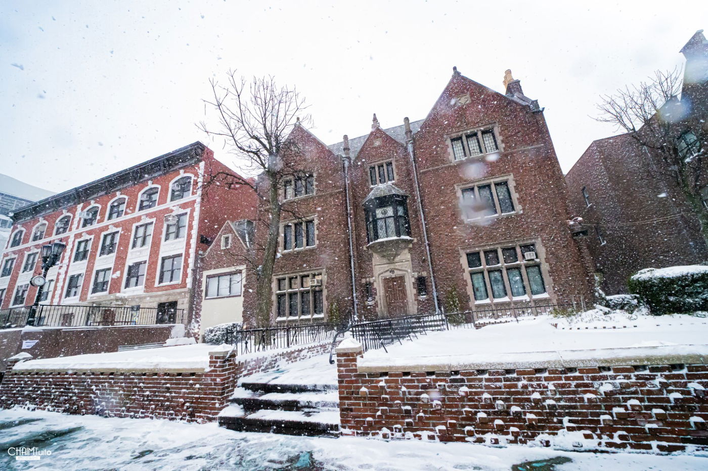 סופת שלגים קיצונית ב'קראון הייטס' • תיעוד