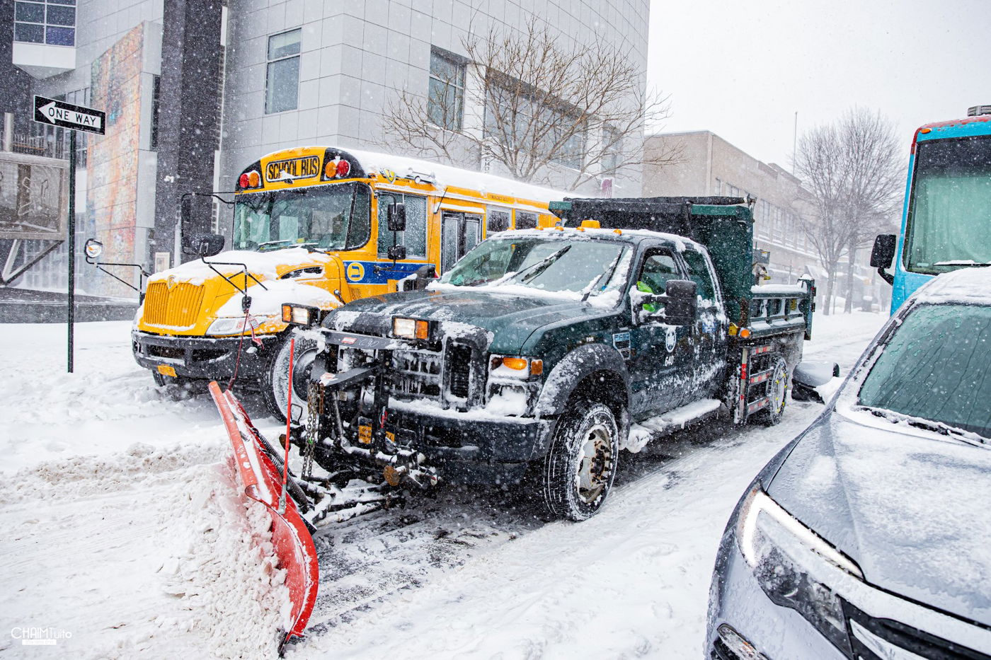 סופת שלגים קיצונית ב'קראון הייטס' • תיעוד