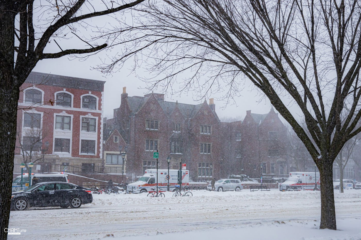 סופת שלגים קיצונית ב'קראון הייטס' • תיעוד