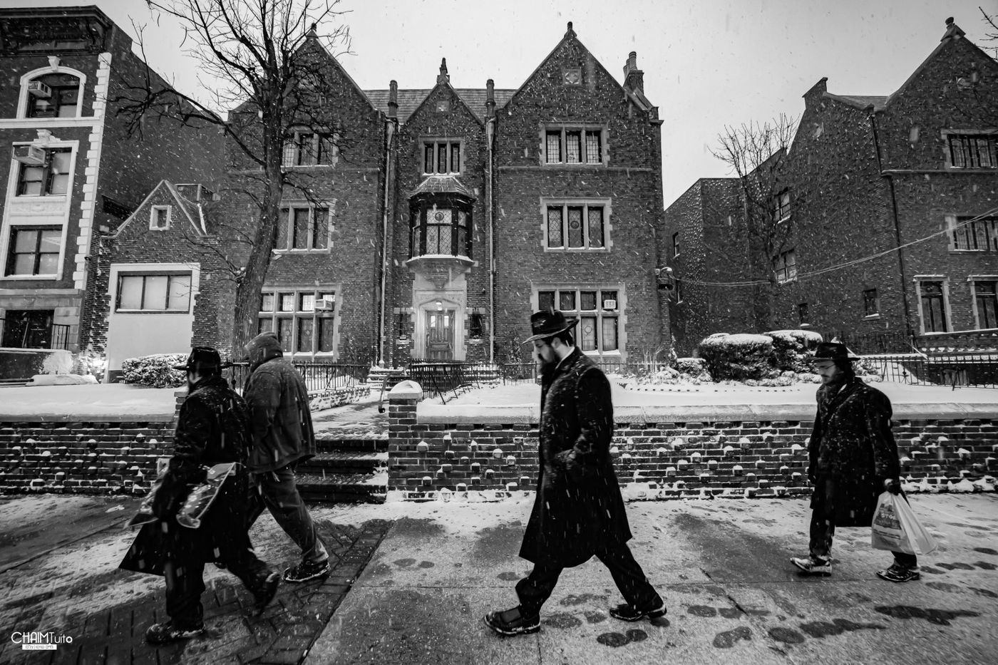 סופת שלגים קיצונית ב'קראון הייטס' • תיעוד