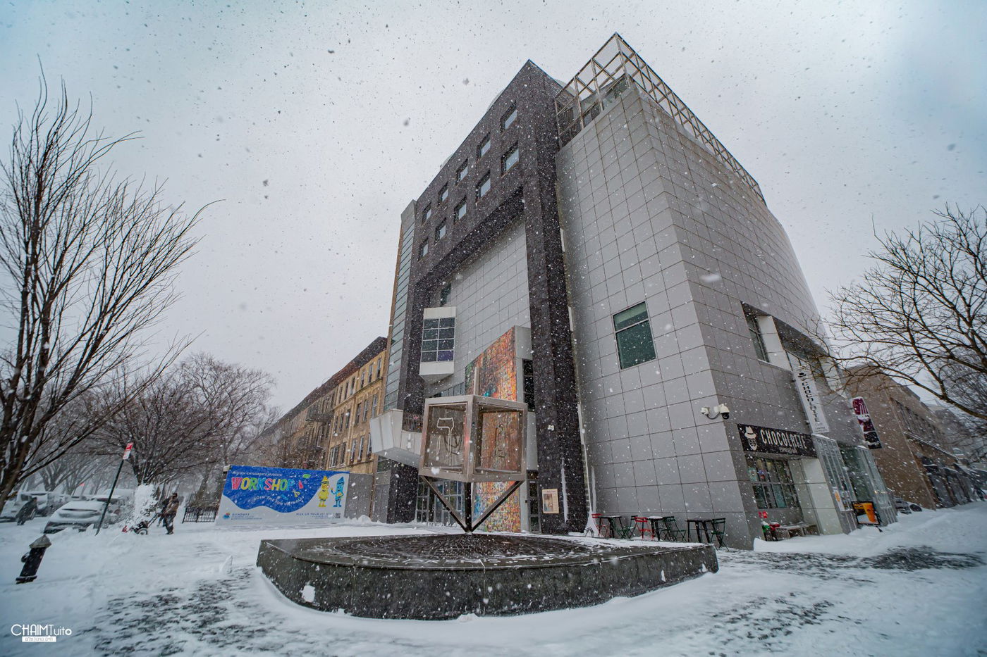 סופת שלגים קיצונית ב'קראון הייטס' • תיעוד