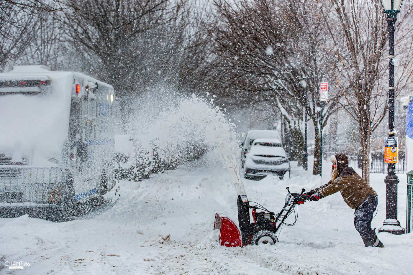 סופת שלגים קיצונית ב'קראון הייטס' • תיעוד