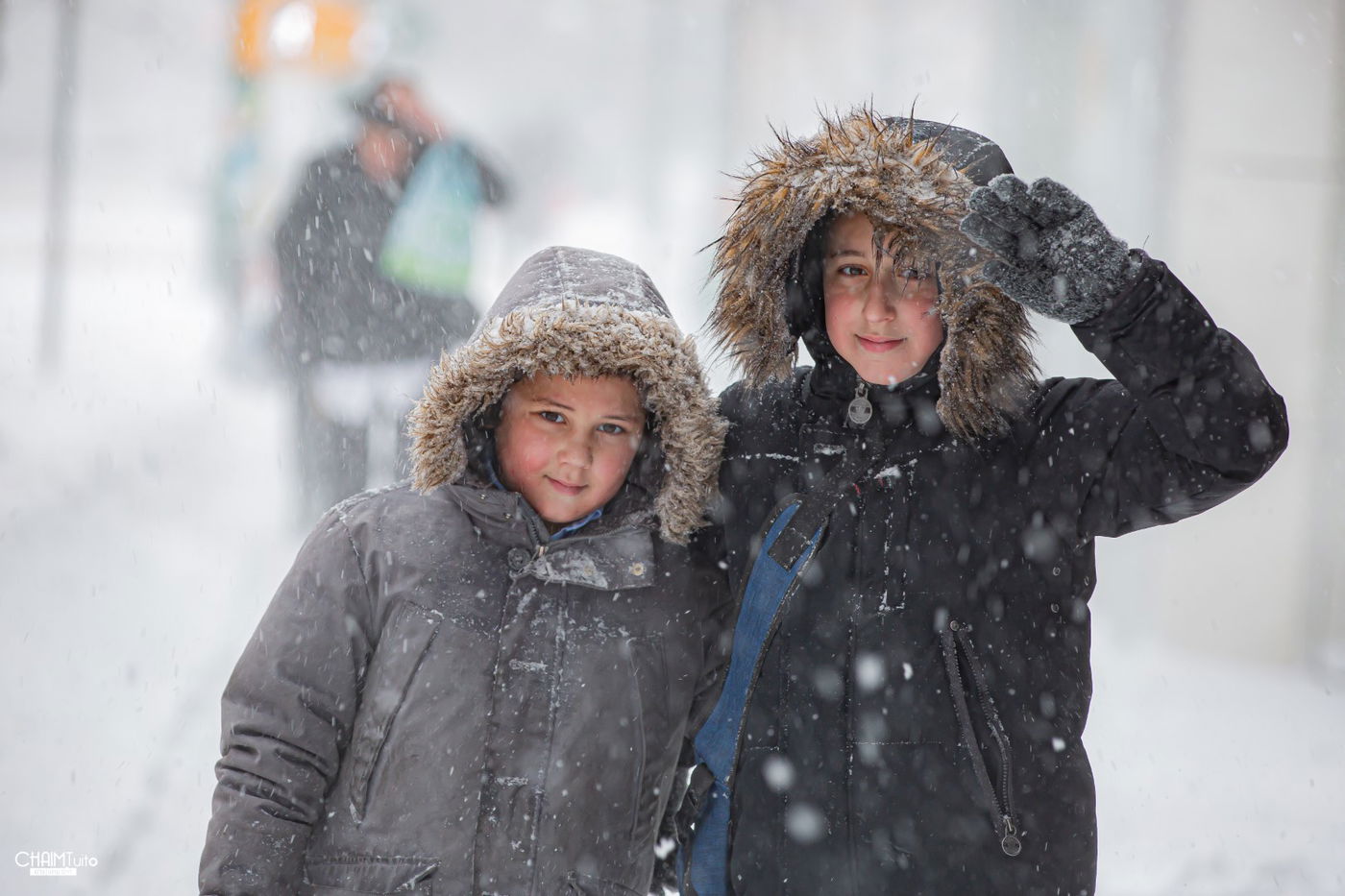 סופת שלגים קיצונית ב'קראון הייטס' • תיעוד