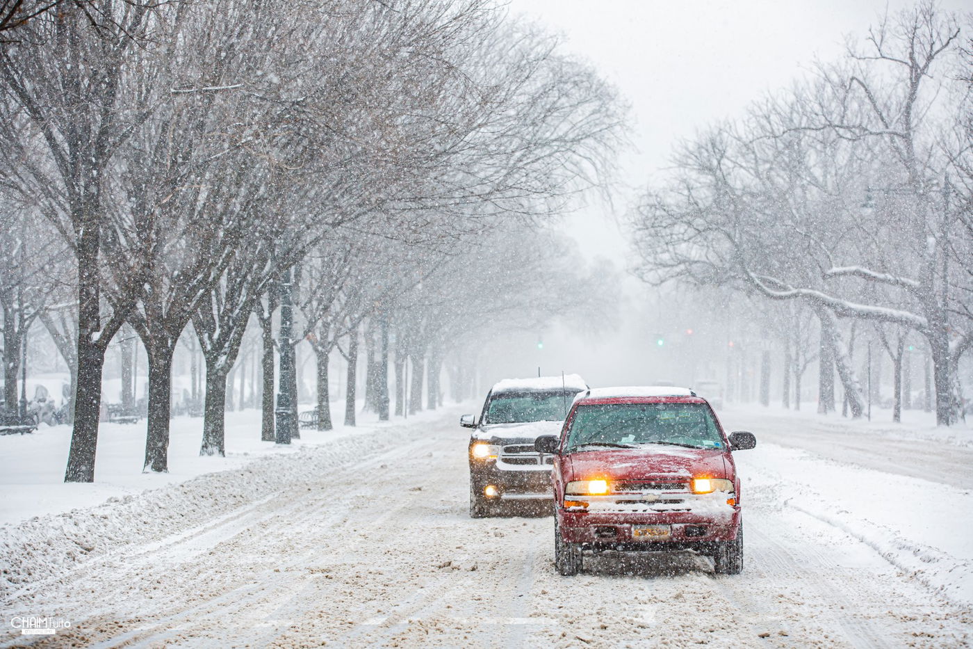 סופת שלגים קיצונית ב'קראון הייטס' • תיעוד