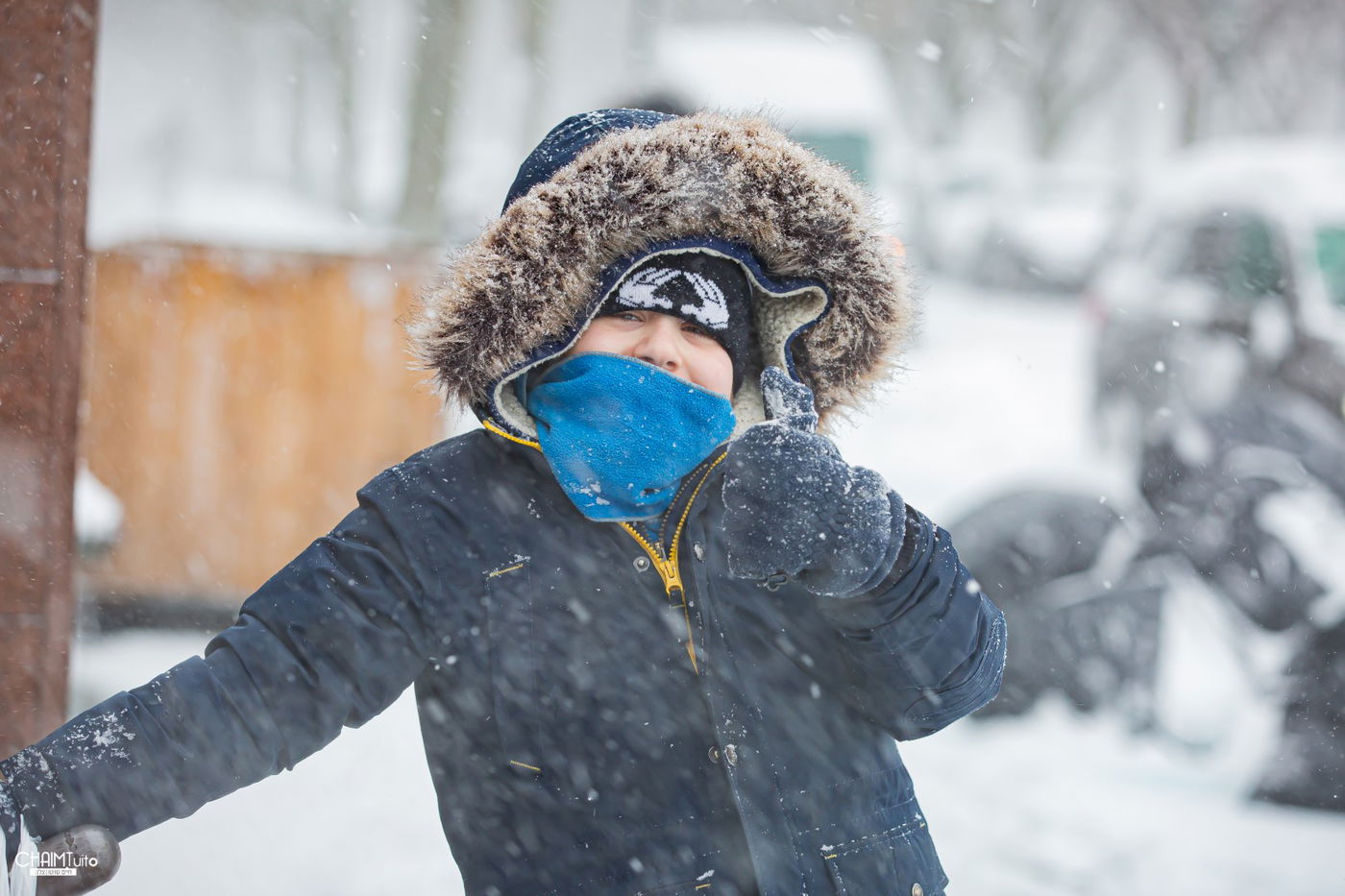 סופת שלגים קיצונית ב'קראון הייטס' • תיעוד