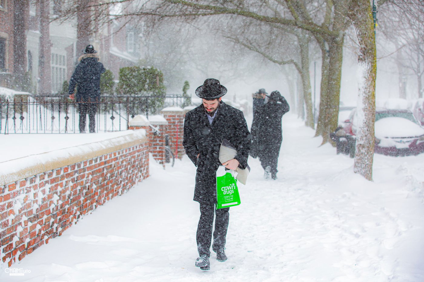 סופת שלגים קיצונית ב'קראון הייטס' • תיעוד