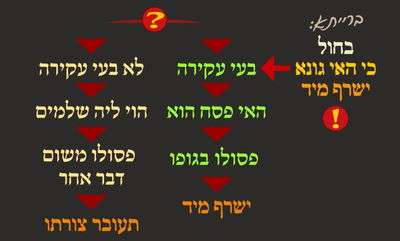 מסכת פסחים, דף ע"ג • סיכום והמחשה של הדף היומי