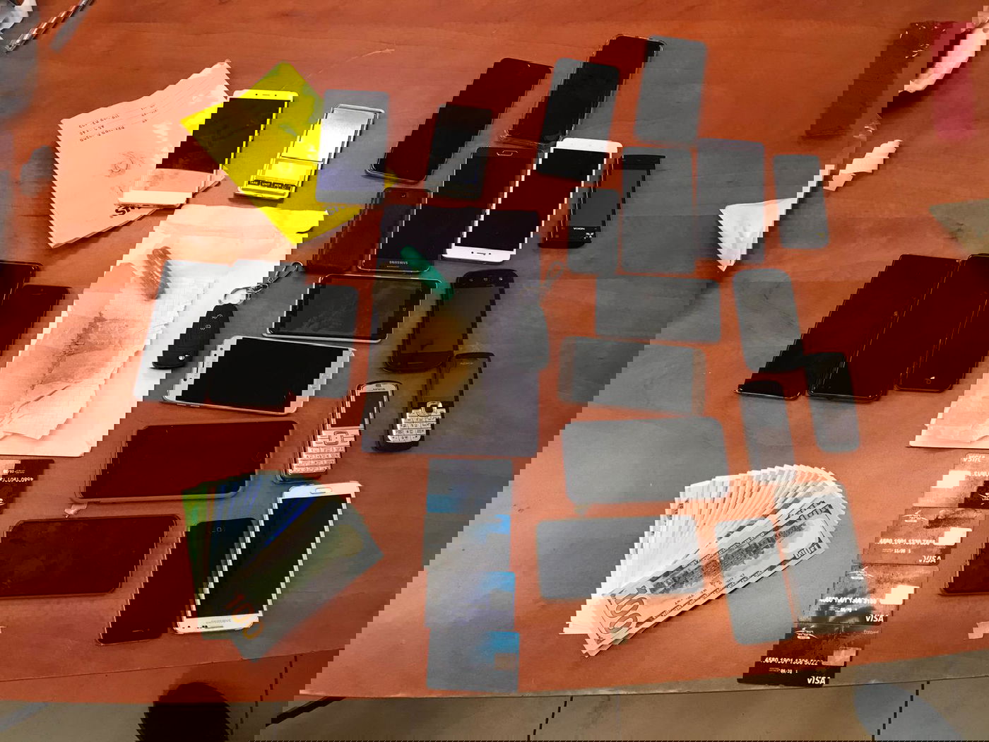 זה השלל שתפסו כלבי המשטרה - ביום אחד