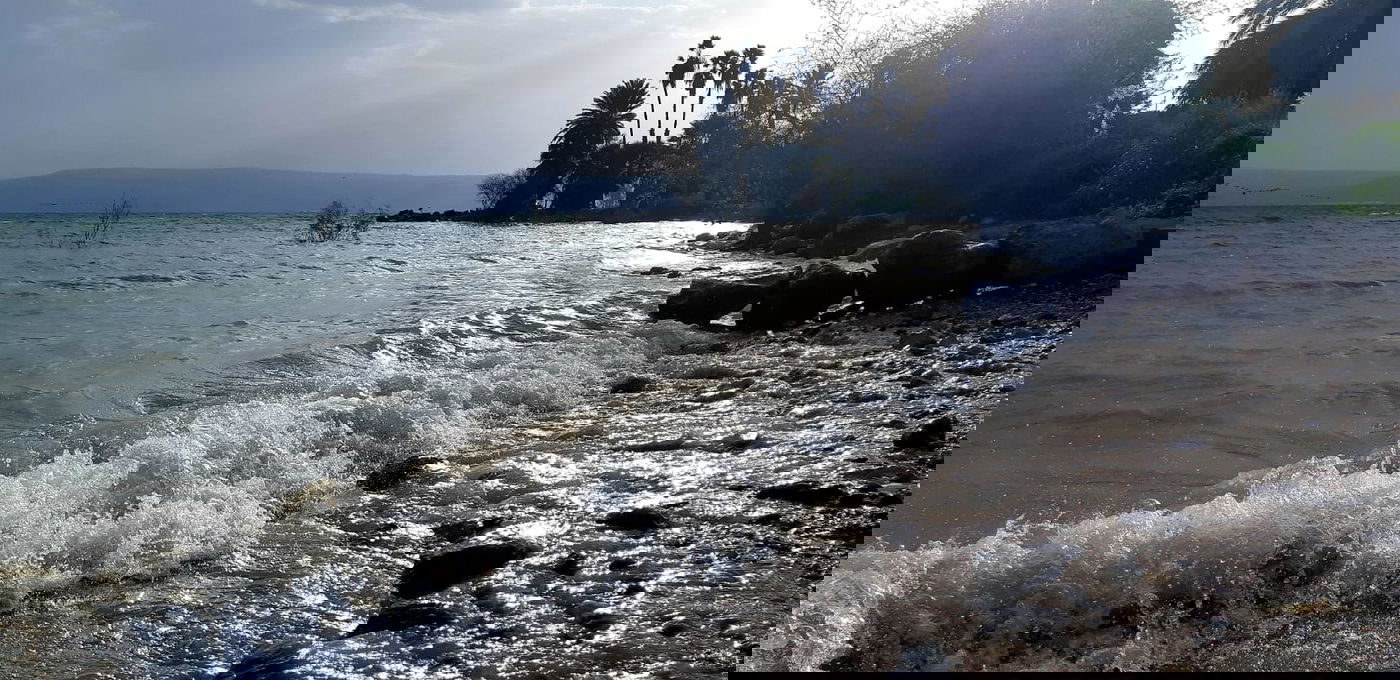 הכנרת, הבוקר