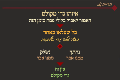 מסכת פסחים, דף ע"ד • סיכום והמחשה של הדף היומי