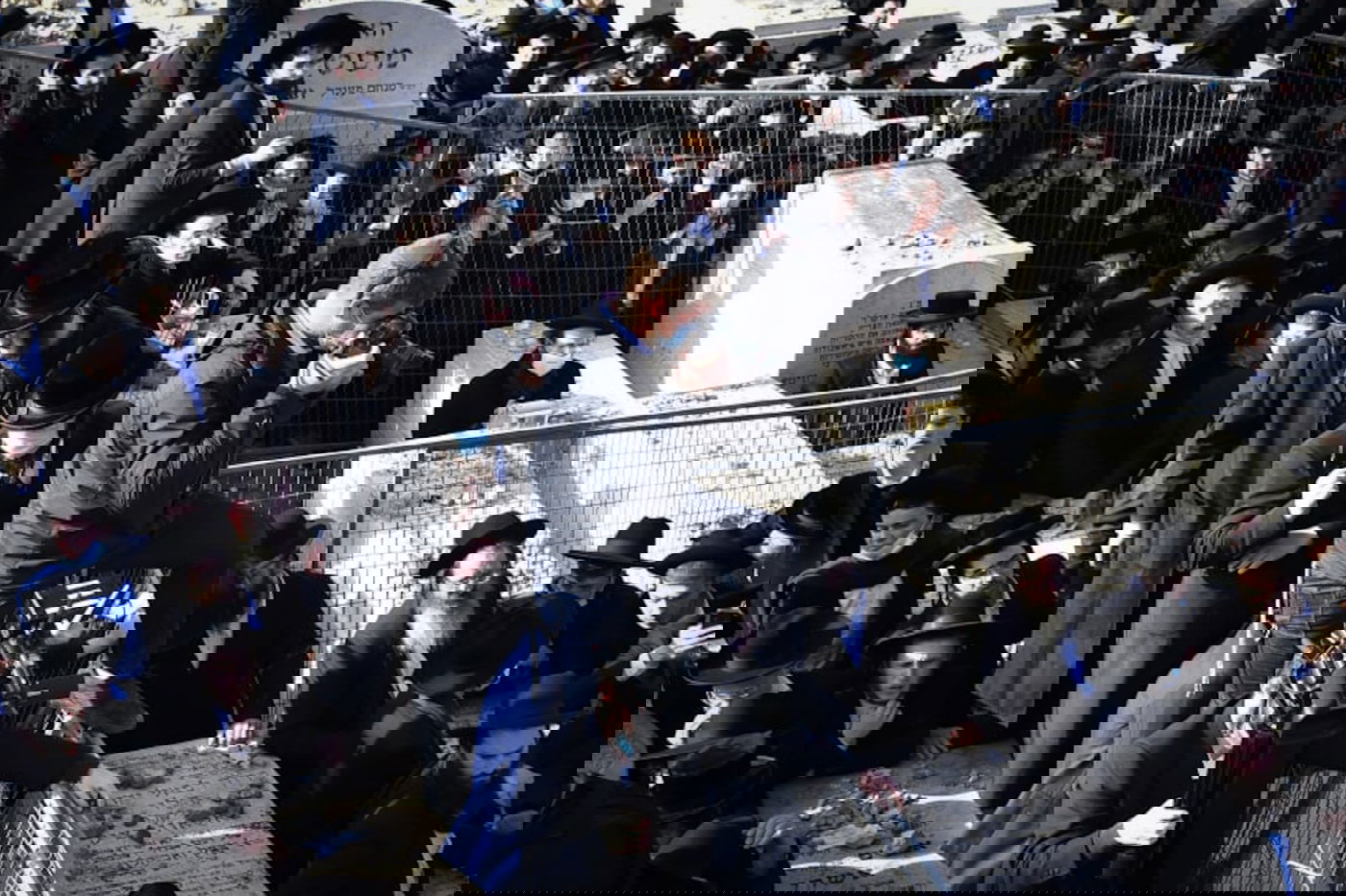 זופניק בכיכר • כל התמונות והנייעס של השבוע