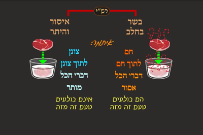 מסכת פסחים, דף ע"ו • סיכום והמחשה של הדף היומי