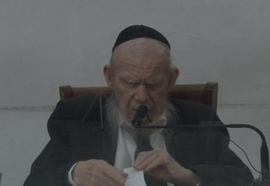 הגאון רבי גרשון אדלשטיין