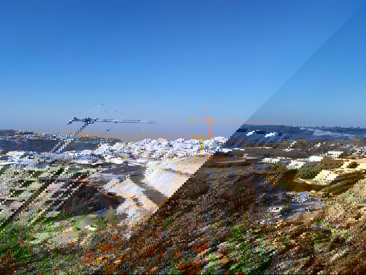 מדאיג: הגנבים נכנסים מהפרצות בגדר וגונבים ספרי תורה