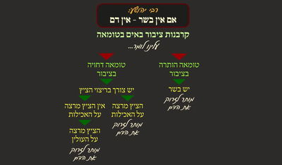 מסכת פסחים, דף ע"ז • סיכום והמחשה של הדף היומי