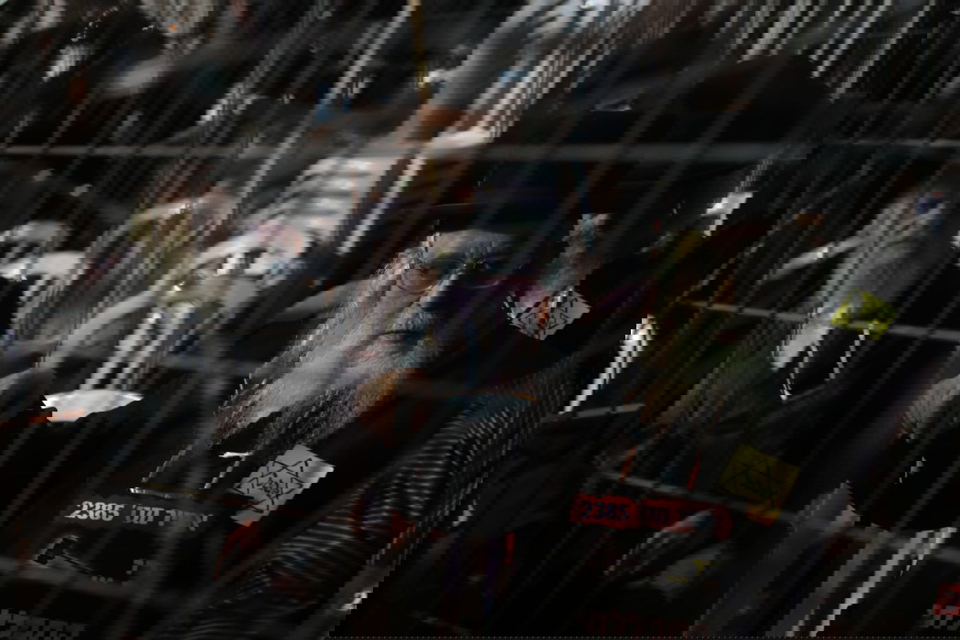 אלפים הפגינו נגד "עקירת הדת" בקורונה