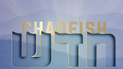 שלמה שמחה, ריבי ואברומי שוובל: "חדש"