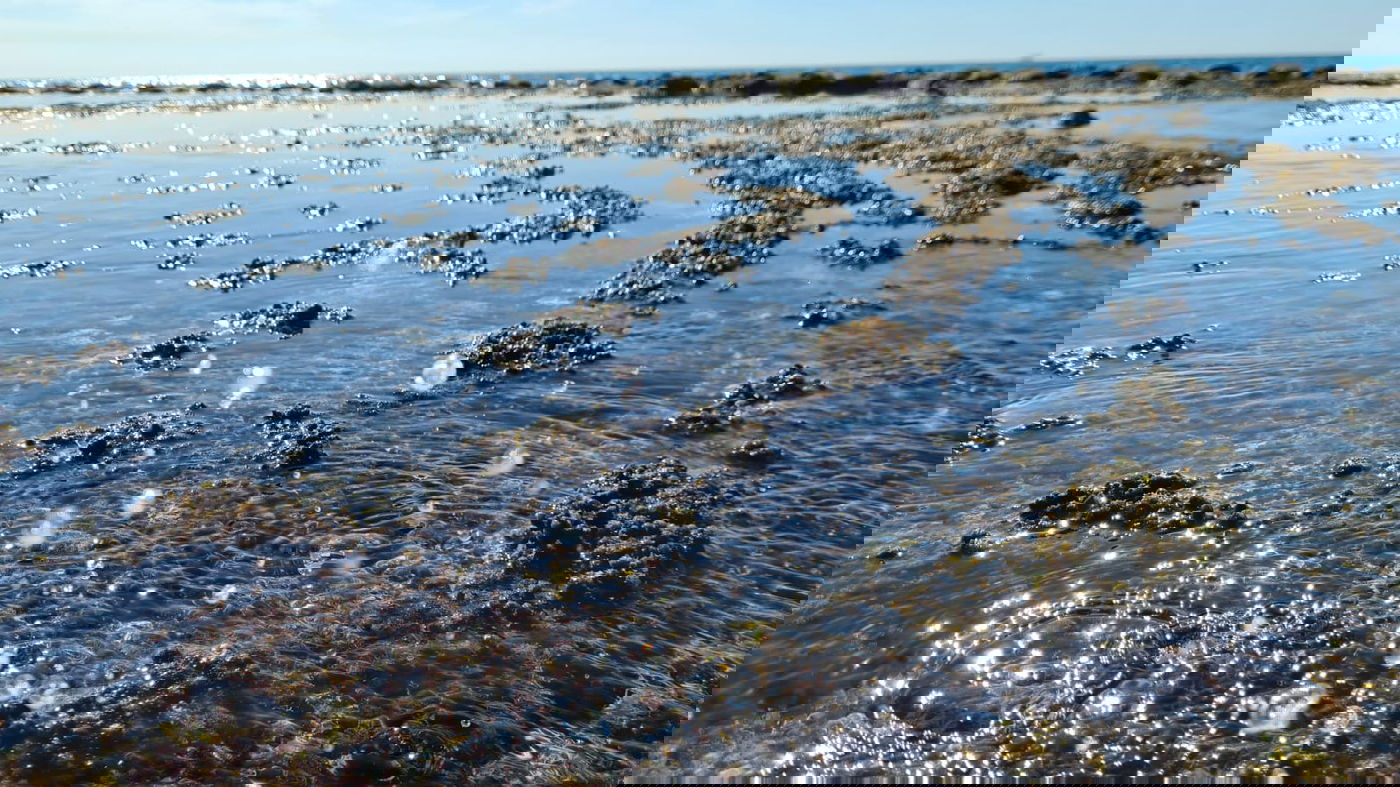 בואו להירגע עם התמונות מחוף הבונים; צפו