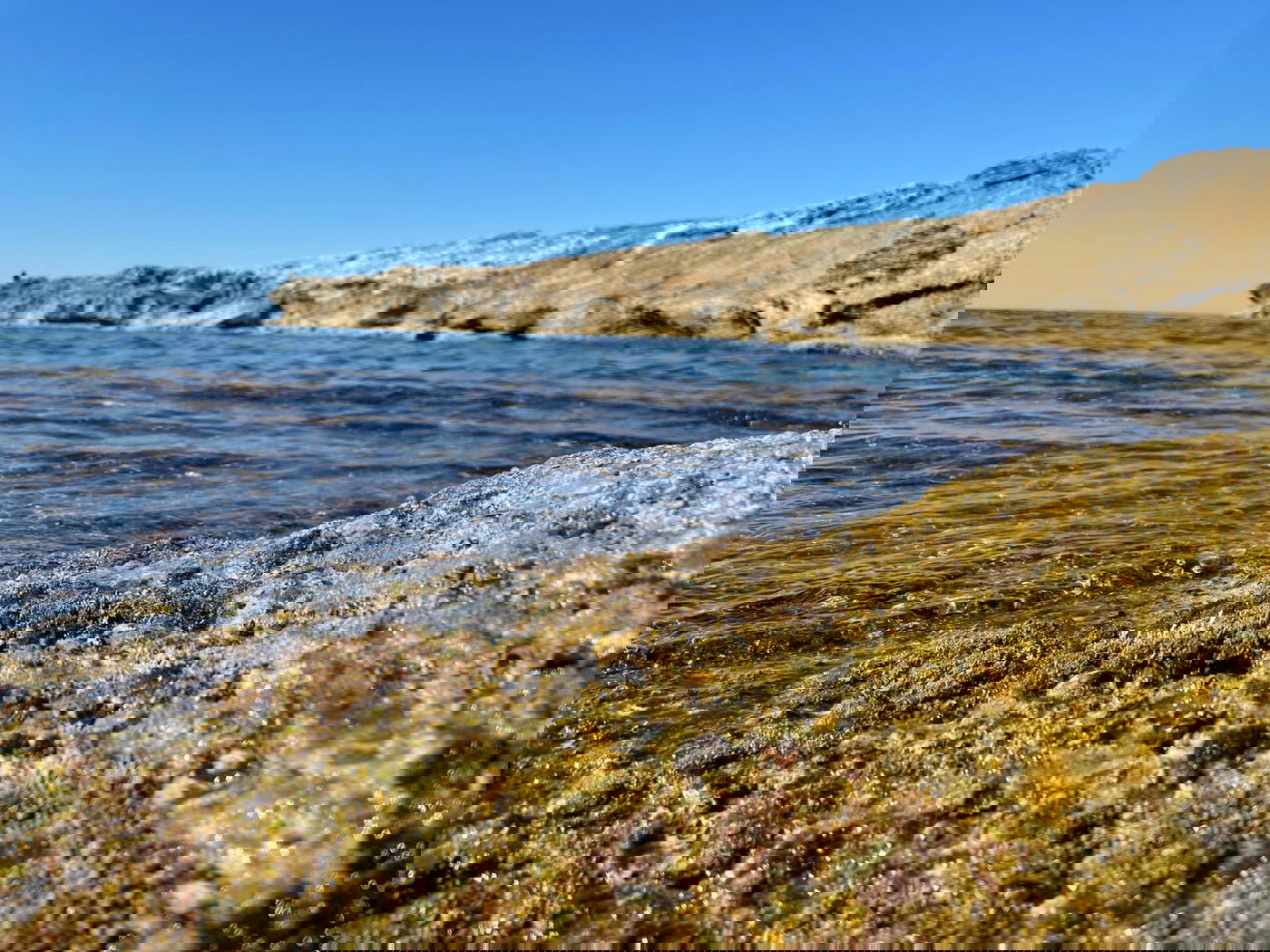 בואו להירגע עם התמונות מחוף הבונים; צפו