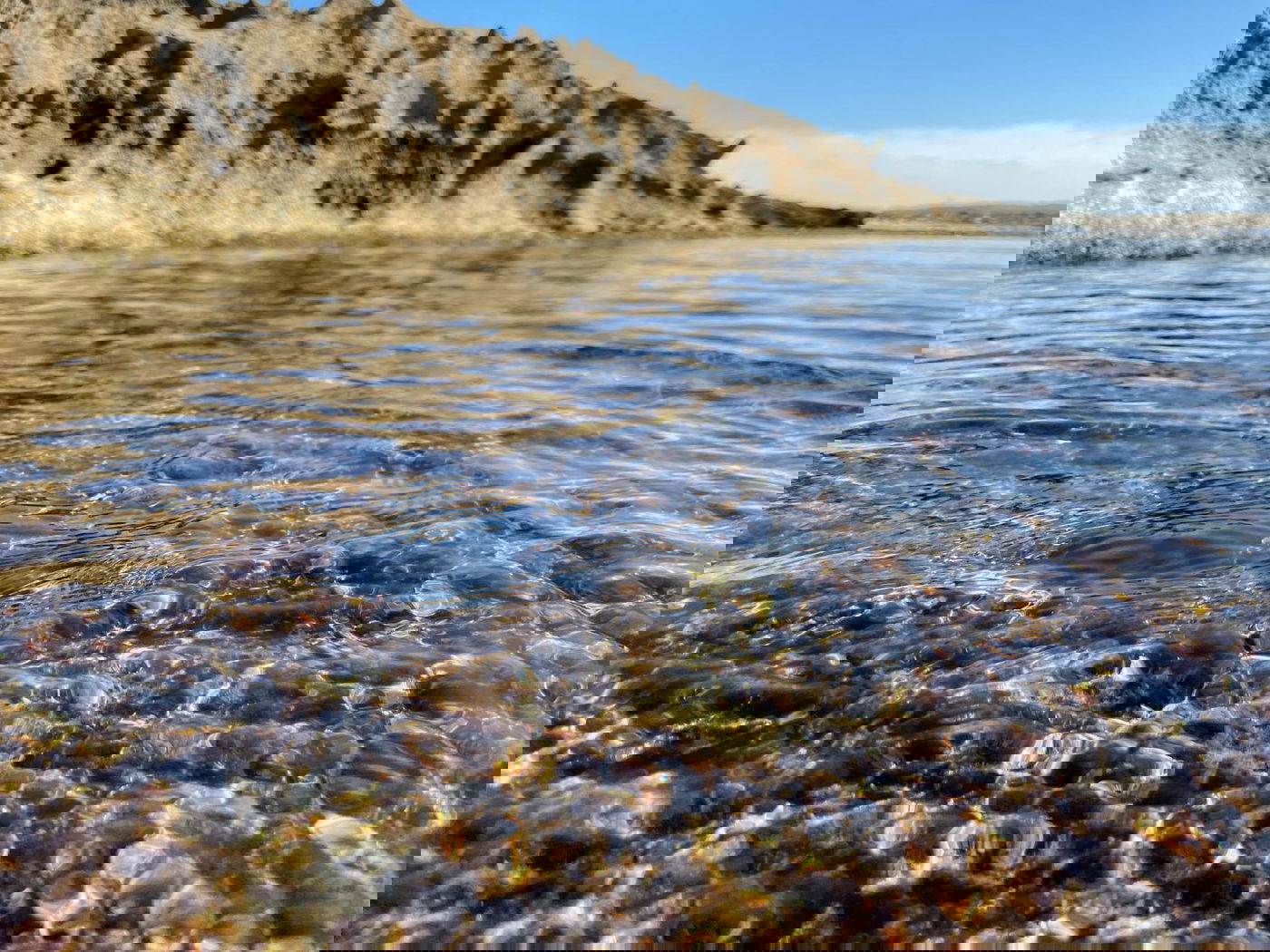בואו להירגע עם התמונות מחוף הבונים; צפו