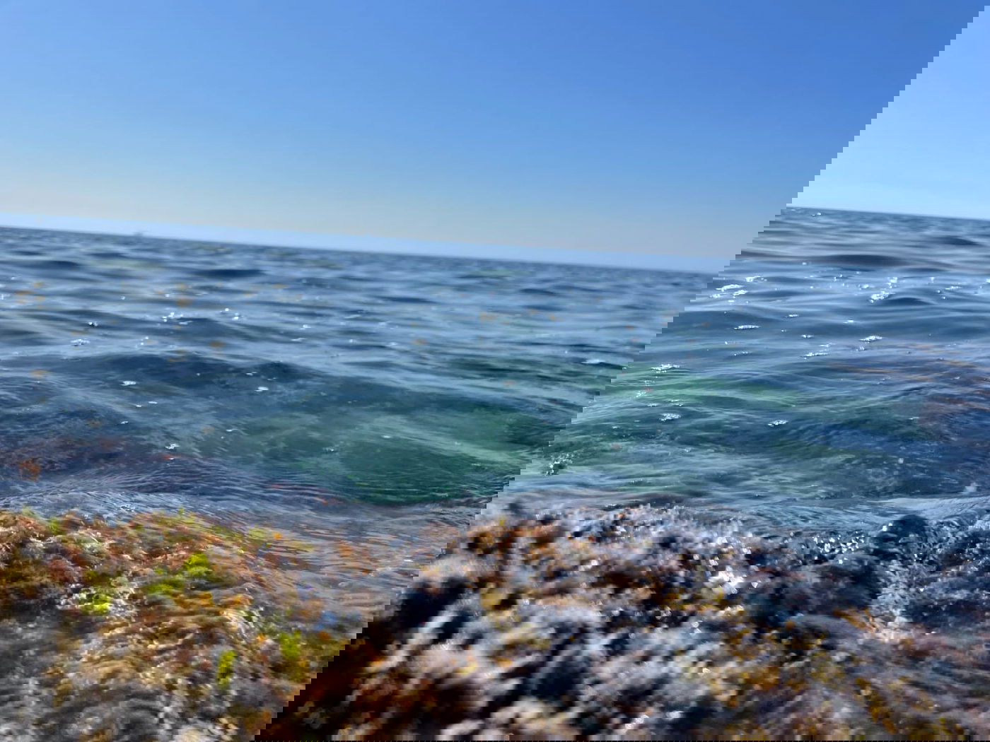 בואו להירגע עם התמונות מחוף הבונים; צפו