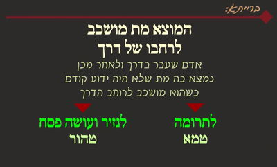 מסכת פסחים, דף פ"א • סיכום והמחשה של הדף היומי