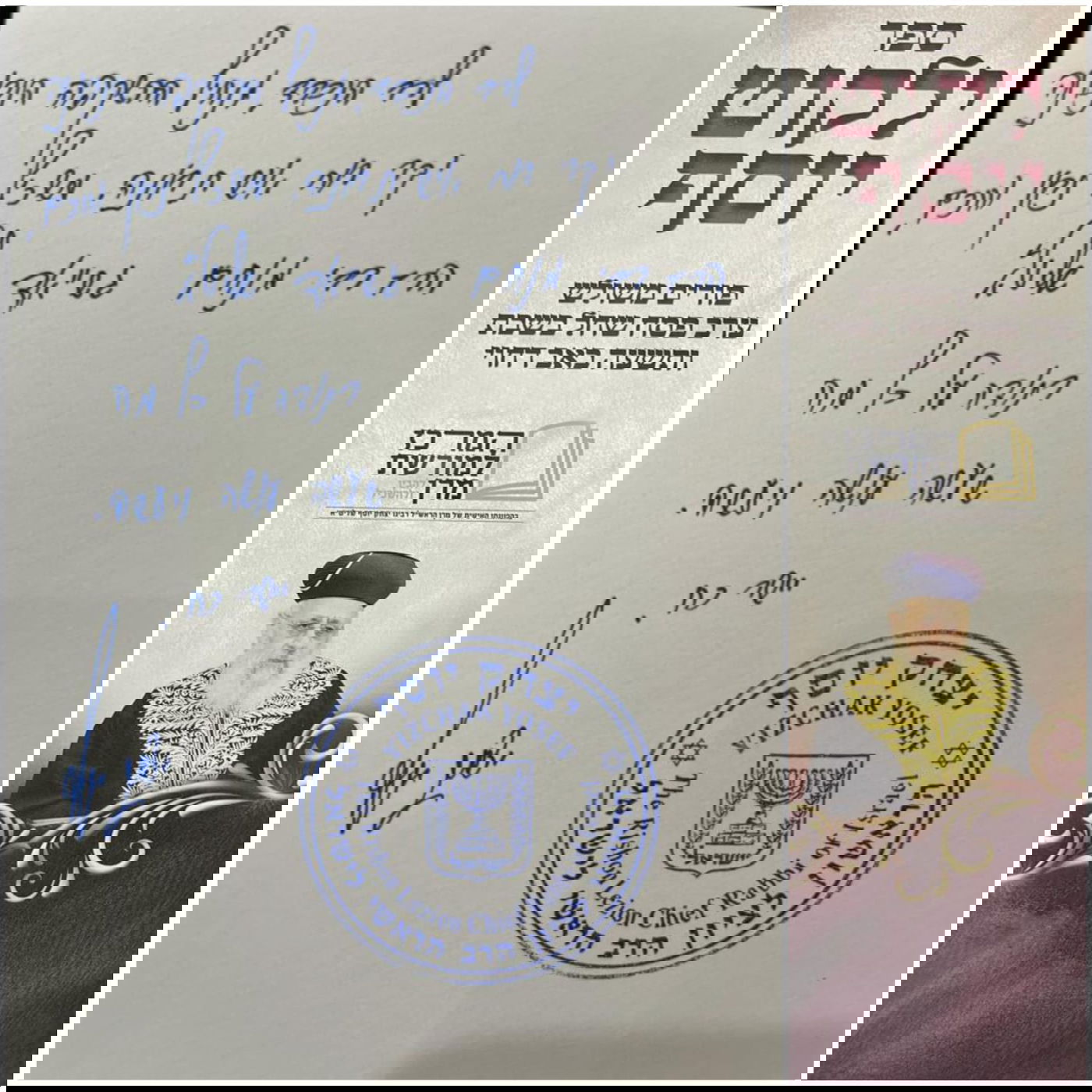 זופניק בכיכר • כל התמונות והנייעס של השבוע