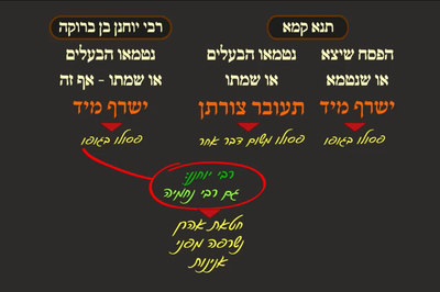 מסכת פסחים, דף פ"ב • סיכום והמחשה של הדף היומי