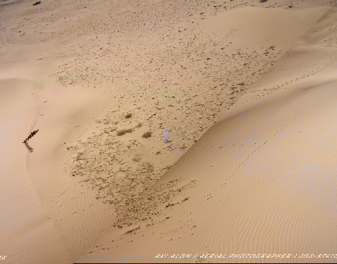 ממצפה רמון עד אילת: סיור בדרום הארץ