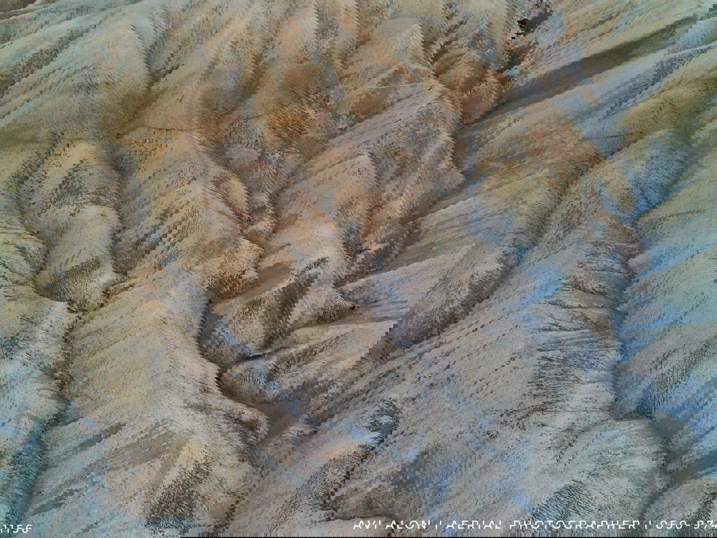 ממצפה רמון עד אילת: סיור בדרום הארץ