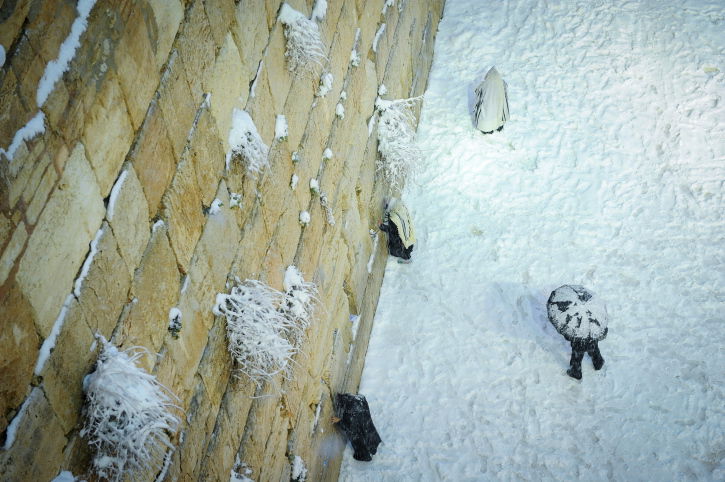 מתי ירד השלג בירושלים, וכמה ס"מ ייערמו?