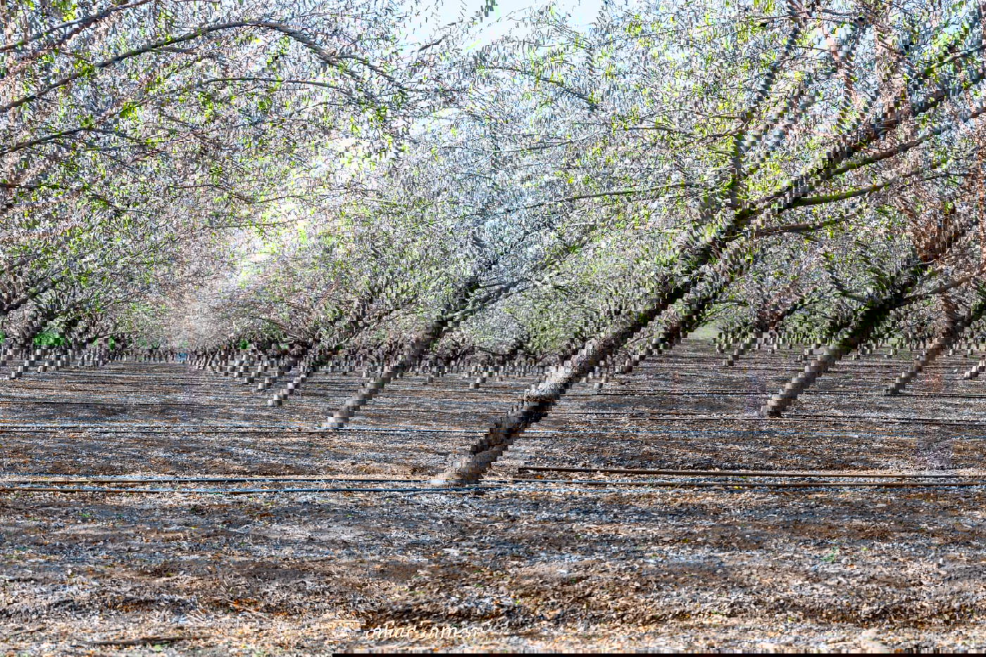 רגע לפני הסערה: תמונות טבע מהגולן • צפו