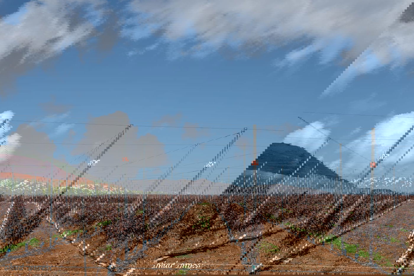 רגע לפני הסערה: תמונות טבע מהגולן • צפו