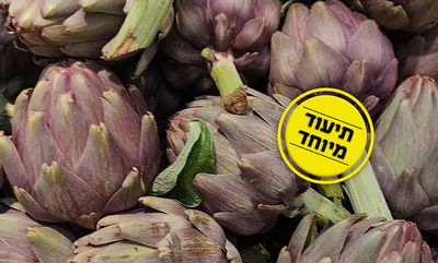 אוהבים ארטישוק? בואו תראו מה הולך עליו