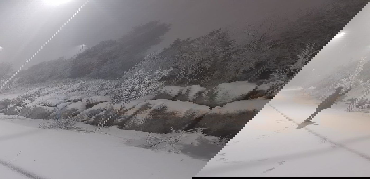 גוש עציון קרדיט: דוברות המועצה האזורית גוש עציון