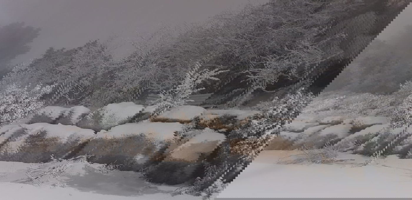 גוש עציון קרדיט: דוברות המועצה האזורית גוש עציון