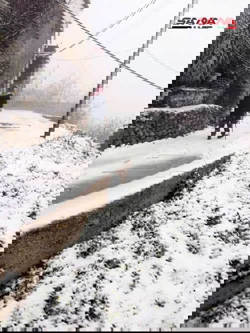 תמונות מסוריה: שלג כיסה את 'הר הדרוזים'