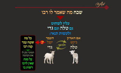 מסכת פסחים, דף פ"ח • סיכום והמחשה של הדף היומי