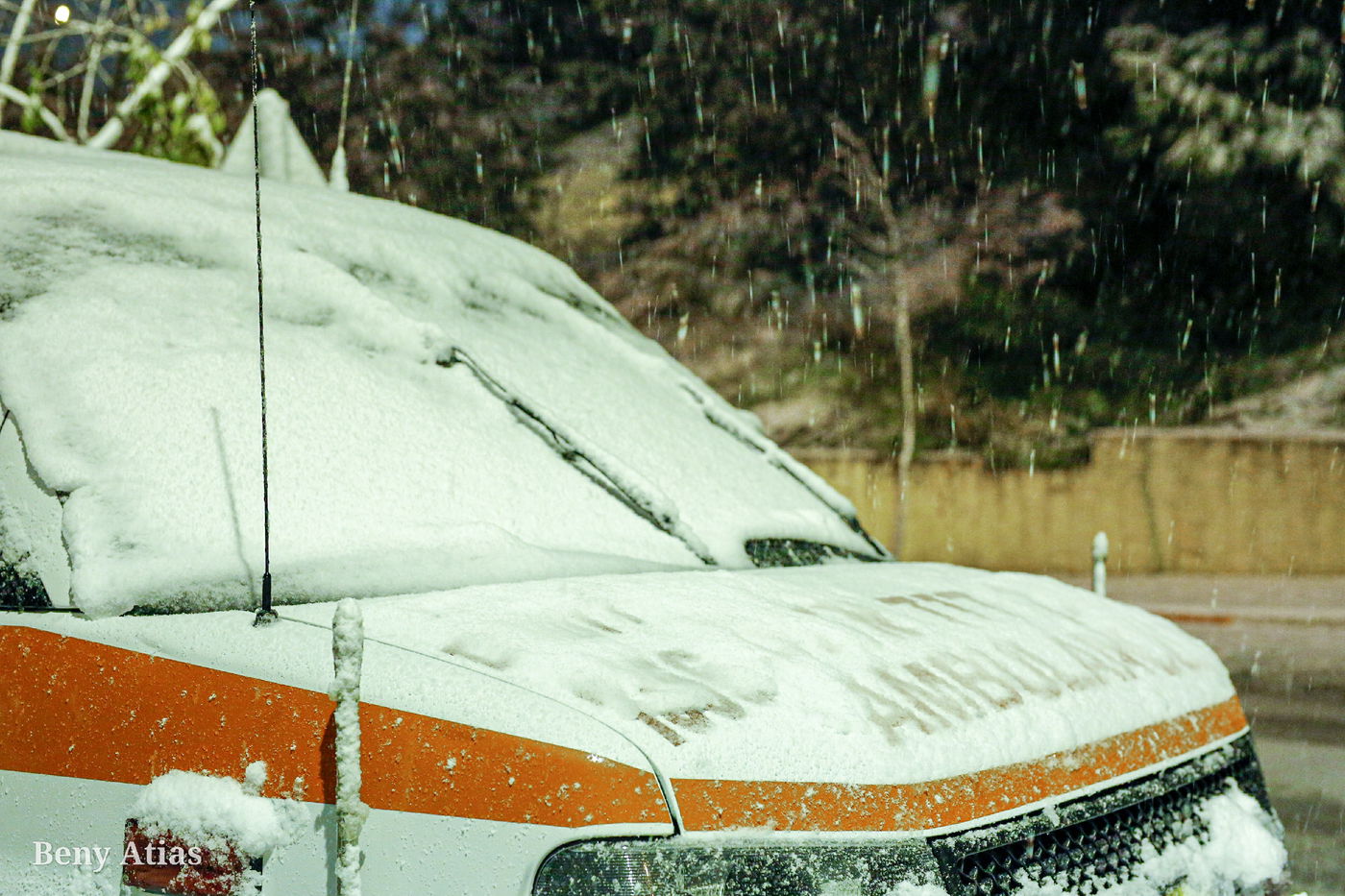 השלג בצמרות העצים ובכבישי הבירה; צפו