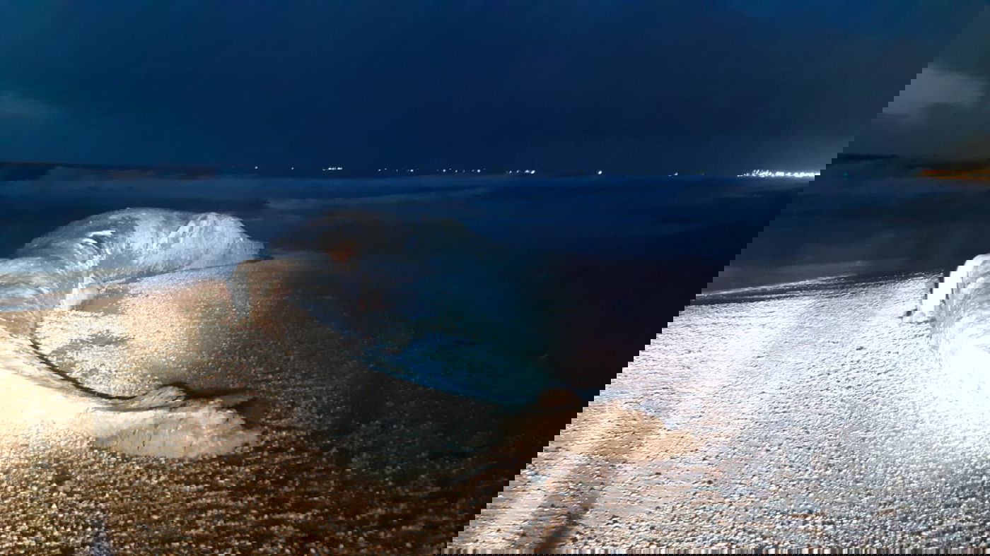 הערב נפלט לוויתן מצוי בדרום סמוך לניצנים