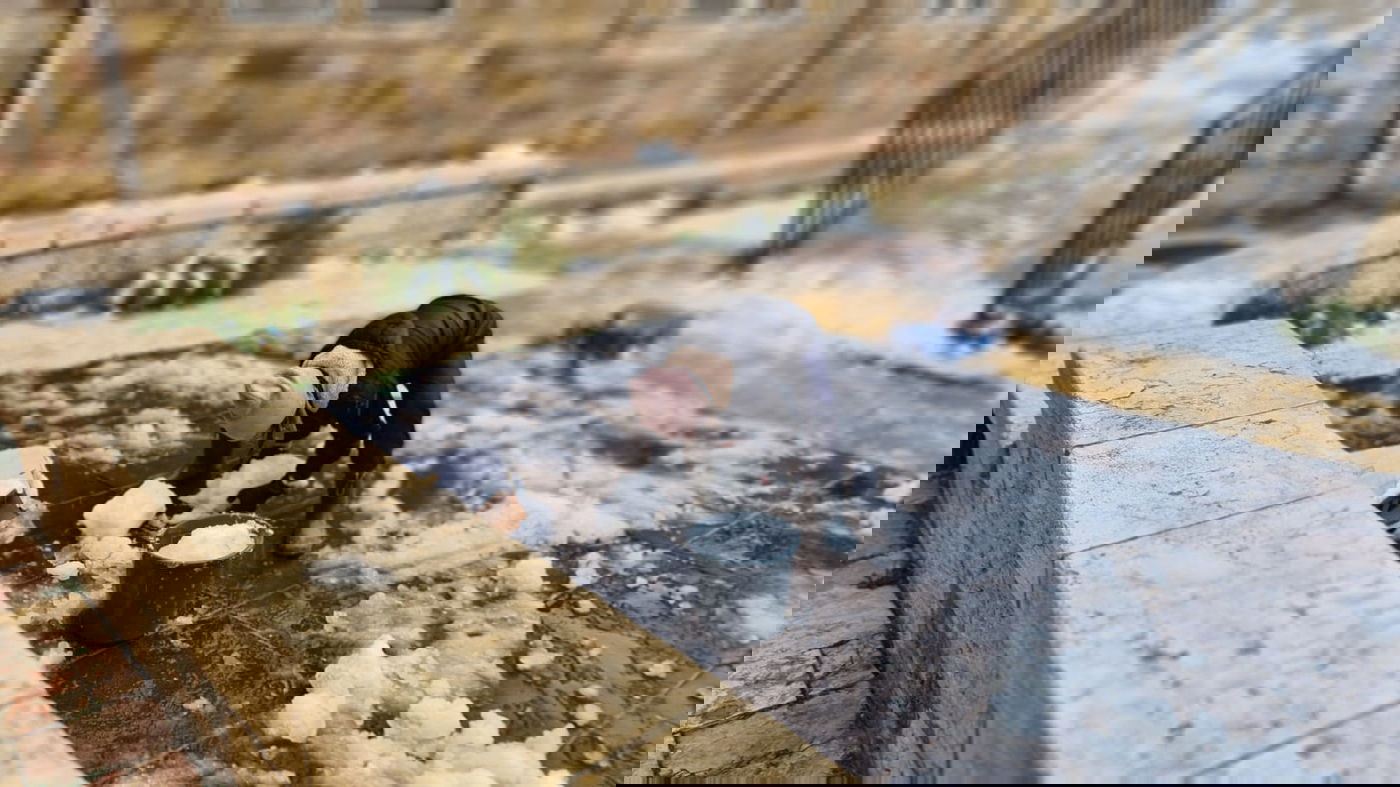 אלו הן בובות השלג של הילדים הירושלמים