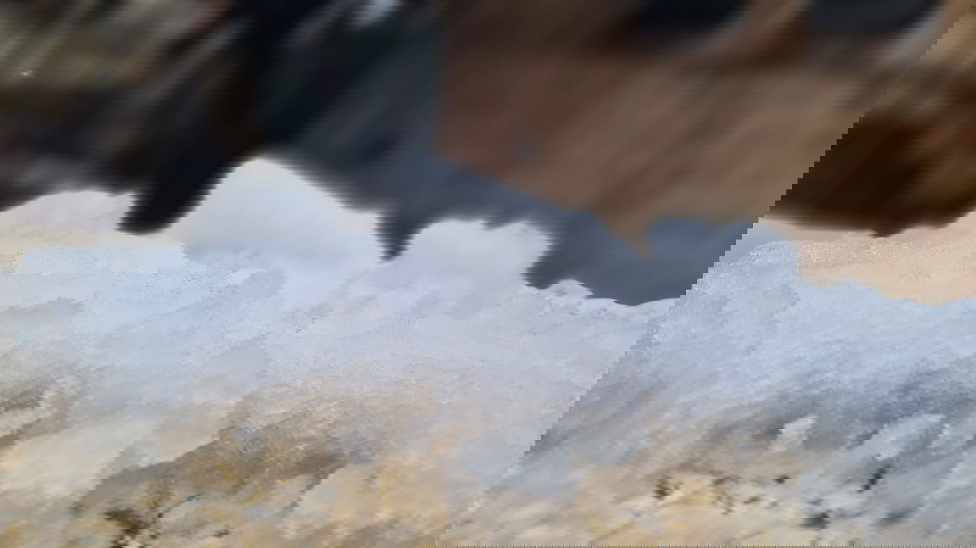 אלו הן בובות השלג של הילדים הירושלמים