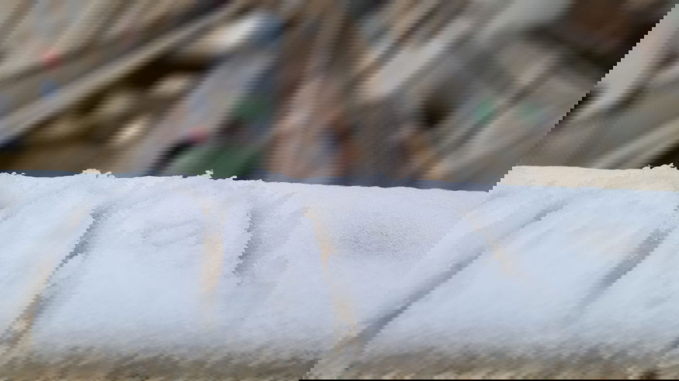 אלו הן בובות השלג של הילדים הירושלמים