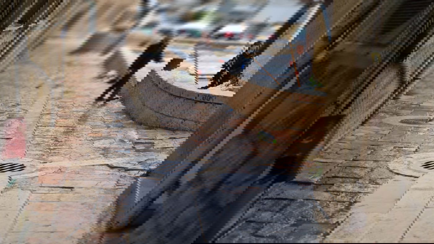 אלו הן בובות השלג של הילדים הירושלמים